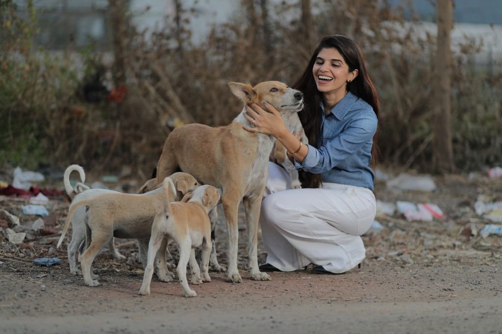 Young woman happily playing with stray dogs on a sunny day outdoors.